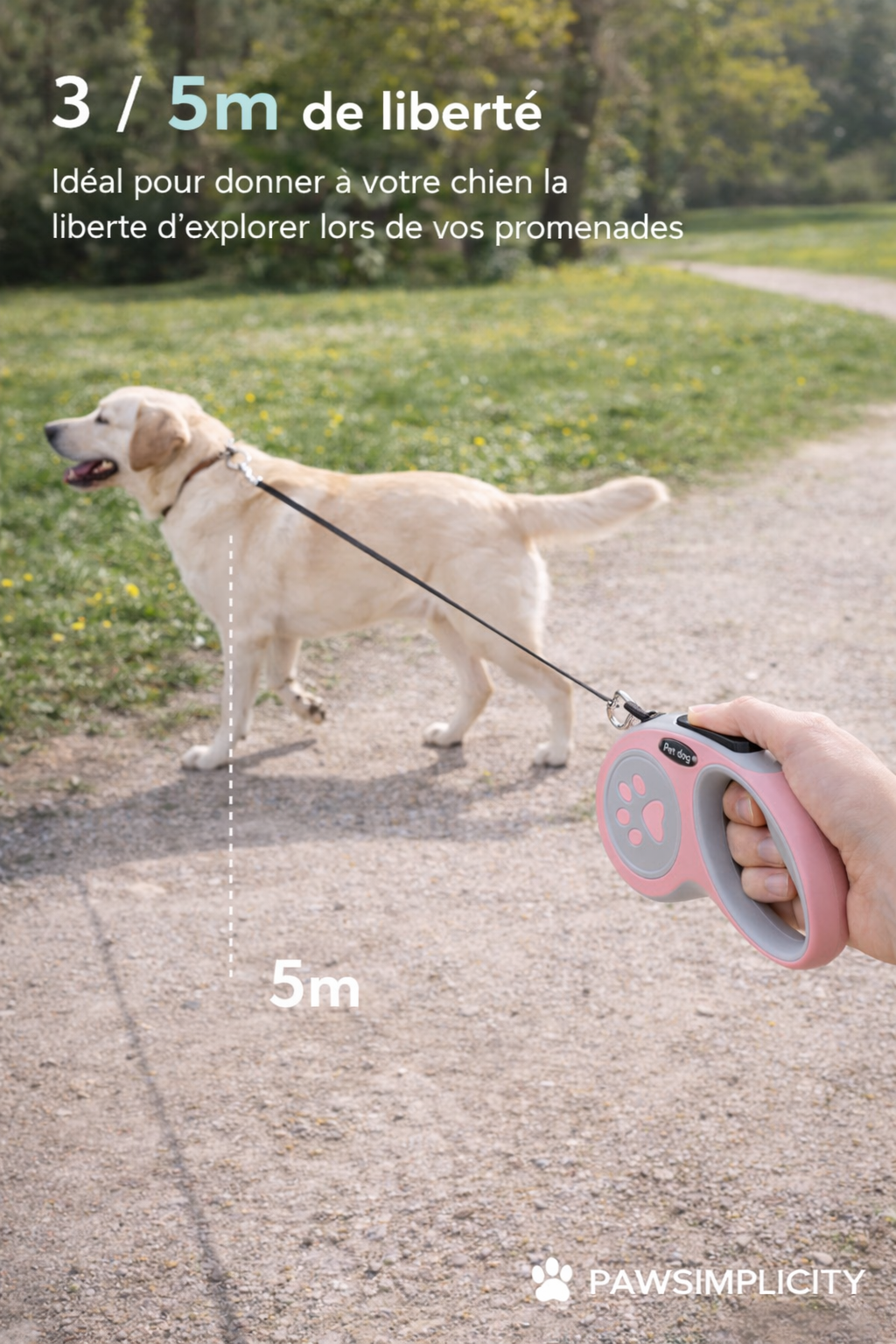 Laisse rétractable ergonomique pour chien & chat